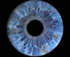 Iris-Photo